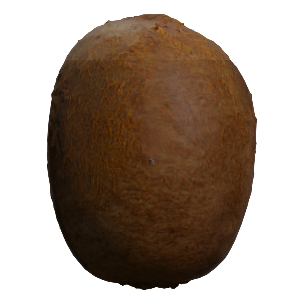 Left view of the Kiwi 3D model
