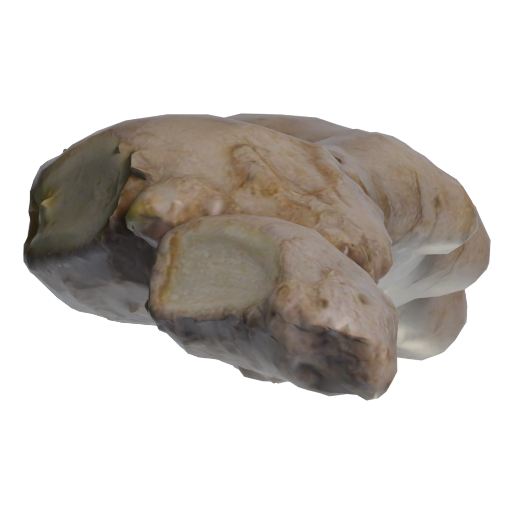 Bottom view of the Ginger 3D model