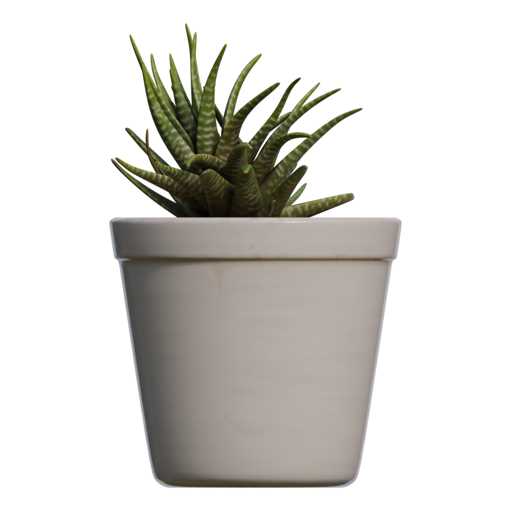 Back view of the Potted Plant 3D model