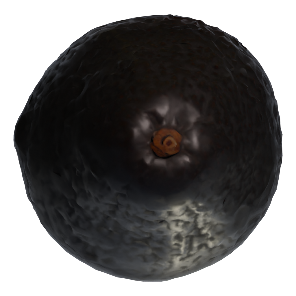 Top view of the Avocado 3D model