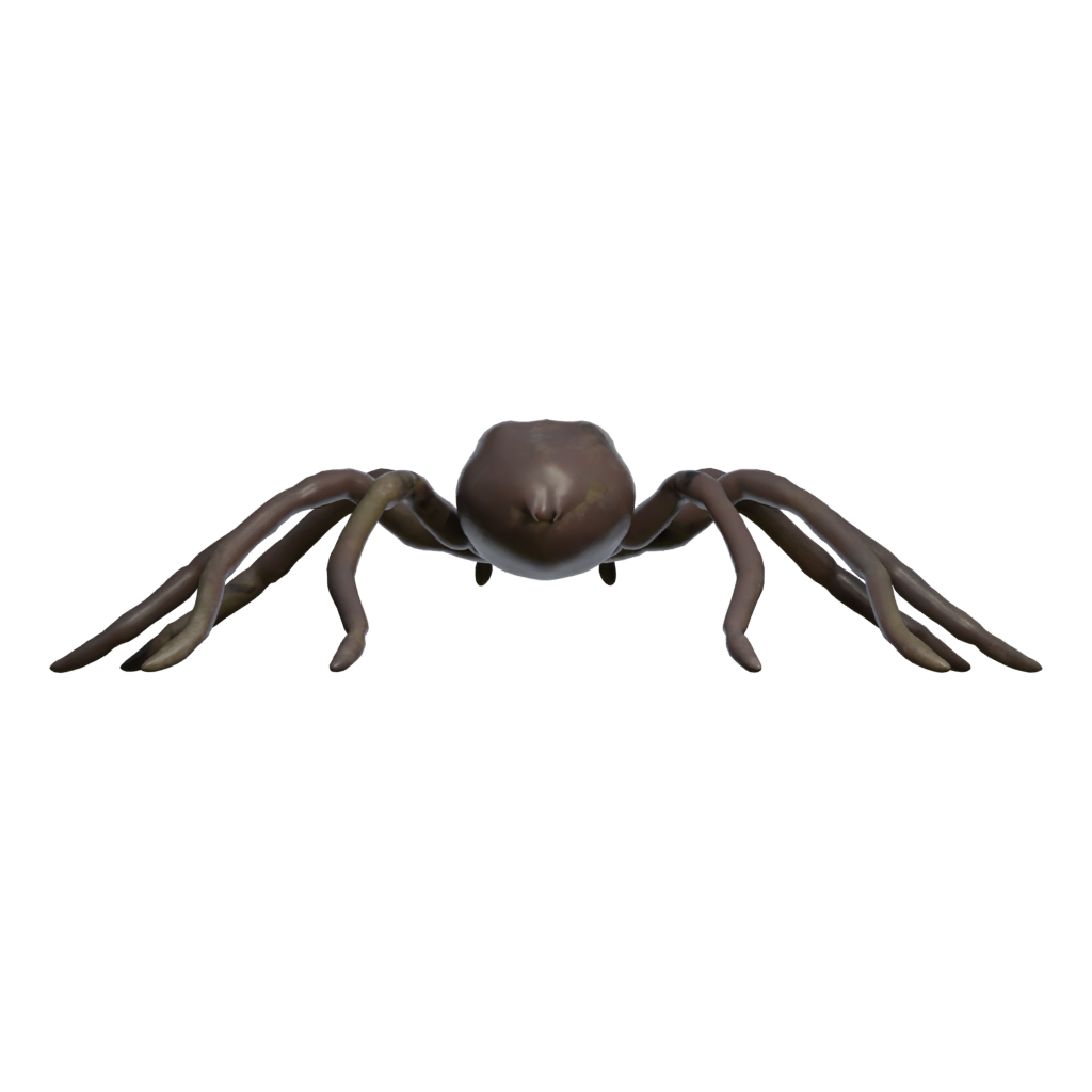 Back view of the Spider Low Poly 3D model