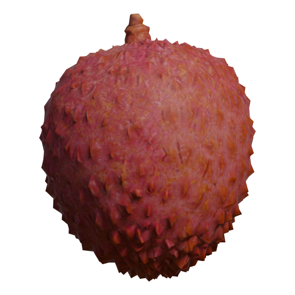 Back view of the Lychee 3D model