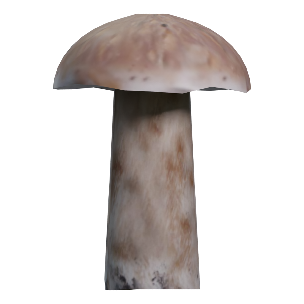 Right view of the Mushroom 00017 3D model