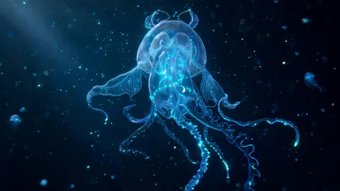 Close-up deep sea creature discovery concept image with crisp subject focus