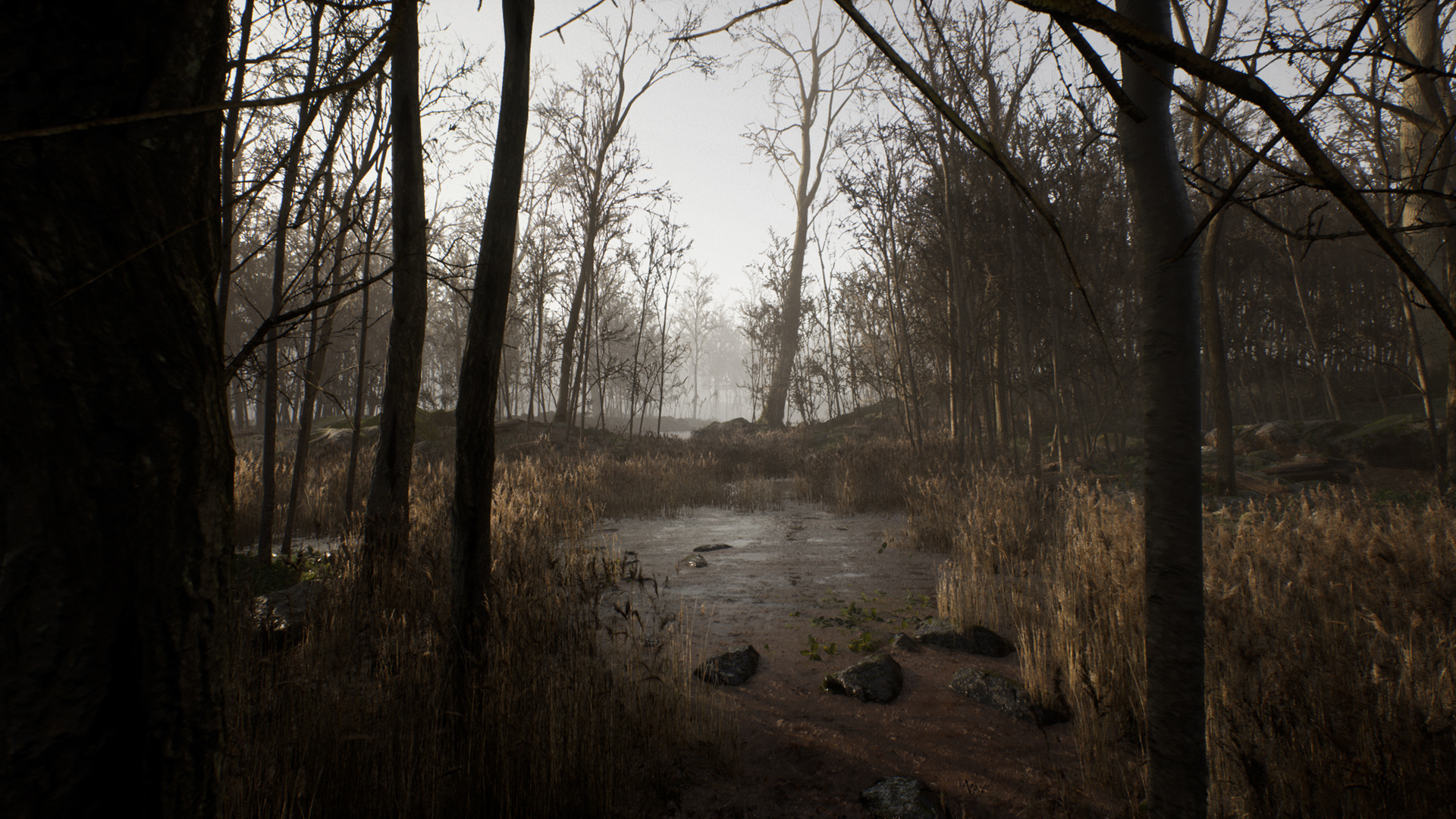 Reviewed Unreal visual reference matched to landscape material