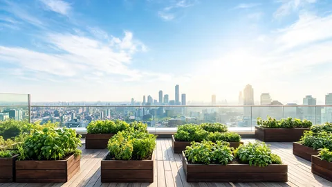 Create urban gardening concepts