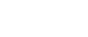 Seele AI